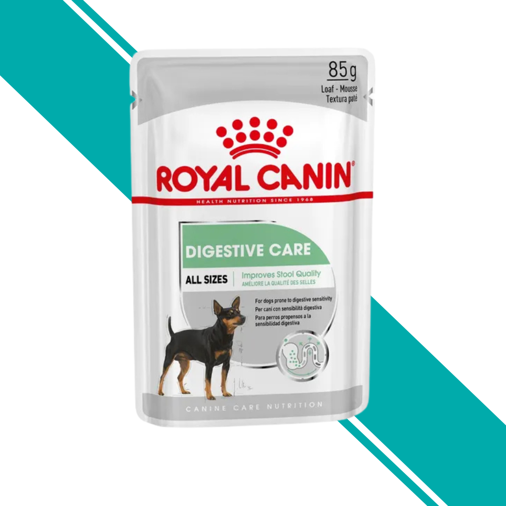 Royal Canin Digestive Care Adult Wet Dog Food (in Loaf) 12x85g